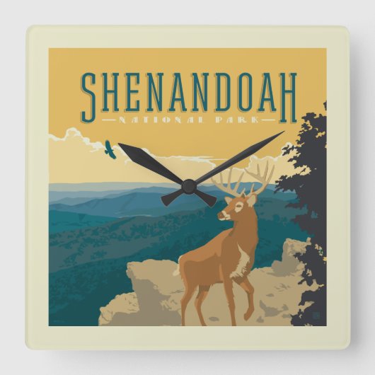 Shenandoah-Nationalpark | Hirsch Quadratische Wanduhr (Vorderseite)