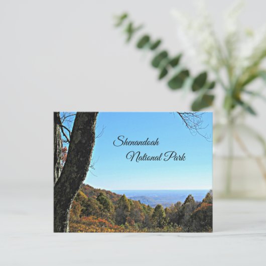 Shenandoah-Nationalpark Postkarte (Stehend Vorderseite)