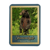 Shenandoah Nationalpark Vintager Bär Magnet (Vertikal)