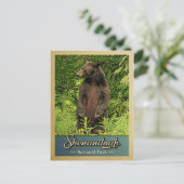 Shenandoah Nationalpark Vintager Bär Postkarte (Stehend Vorderseite)