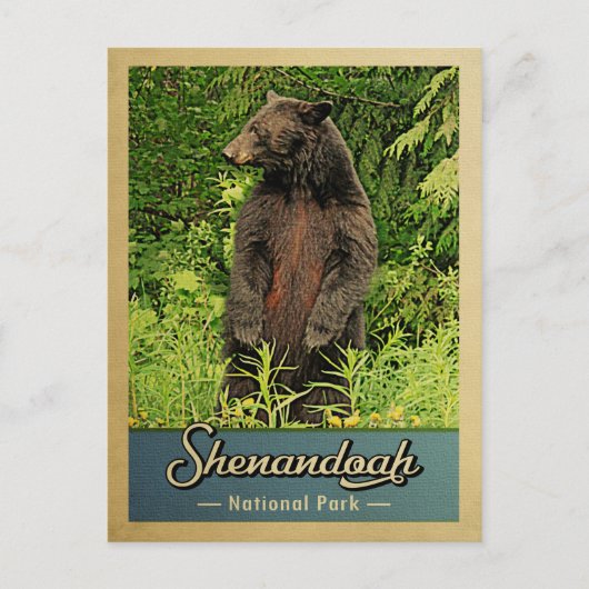 Shenandoah Nationalpark Vintager Bär Postkarte (Vorderseite)