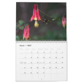 Shenandoah Nationalpark Visionen Kalender (Mär 2027)