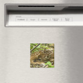 Shenandoah NP, Virginia, USA Magnet (In Situ (Geschirrspüler))