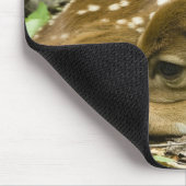 Shenandoah NP, Virginia, USA Mousepad (Ecke)