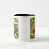 Shenandoah NP, Virginia, USA Tasse (Zentrum)