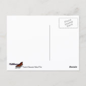 Shenandoah Sunset Nationalpark Landschaft Postkarte (Rückseite)