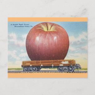 Shenandoah Valley, Virginia Giant Apple Postcard Postkarte