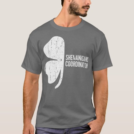 Shenanigans Coordinator St Patricks Day Gift T-Shirt (Vorderseite)