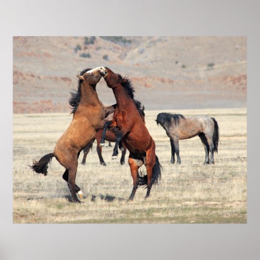 Shenanigans Poster (Vorne)