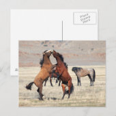 Shenanigans Postkarte (Vorne/Hinten)