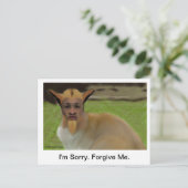 Shenarts Apologiekarte Postkarte (Stehend Vorderseite)