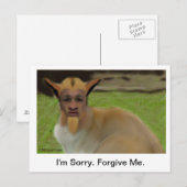 Shenarts Apologiekarte Postkarte (Vorne/Hinten)