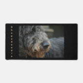 Shepadoodle Dog Fotografisches Portrait Schreibtischunterlage (Vorderseite)