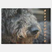 Shepadoodle-Profil Fotografisches Portrait Magnet (Vorderseite)