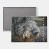 Shepadoodle-Profil Fotografisches Portrait Magnet (Vorderseite/Rückseite)