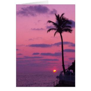 Shephards Sonnenuntergang, Clearwater, Florida