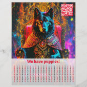 Shepherd Dog Flyer (Vorne)