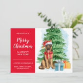 Shepherd Inexpensive Christmas Weihnachtsmannmütze Karte (Stehend Vorderseite)