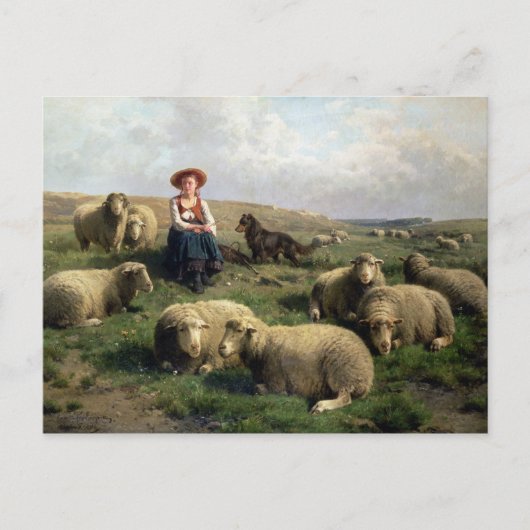 Shepherdeß with Sheep in a Landscape Postkarte (Vorderseite)