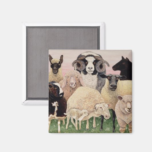 Shepherds Delight Magnet (Vorderseite/Rückseite)