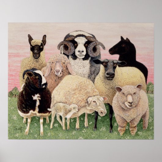 Shepherds Delight Poster (Vorne)