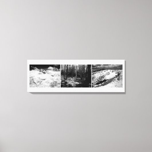 Shepton Mallet Triptych Leinwanddruck (Vorderseite)