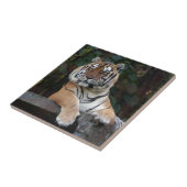 Shere-Khan-b-15 Fliese (Seite)