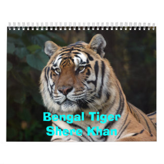Shere-Khan Kalender, bengalisches TigerShere Khan Kalender