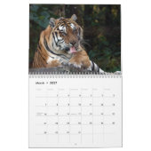 Shere-Khan Kalender, bengalisches TigerShere Khan Kalender (Mär 2027)