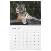 Shere-Khan Kalender, bengalisches TigerShere Khan Kalender (Jan 2027)