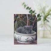 Sherlock Potted Postkarte (Stehend Vorderseite)