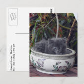 Sherlock Potted Postkarte (Vorne/Hinten)