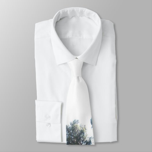 Sherman-Baum-Krawatte Krawatte (Gebunden)