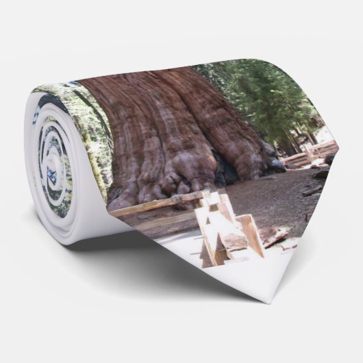 Sherman-Baum-Krawatte Krawatte (Gerollt)