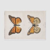 Sherman F. Denton | Monarch Butterfly Seidenpapier (Vorderseite)
