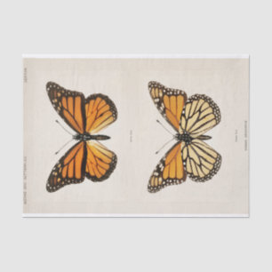 Sherman F. Denton Monarch Butterfly Seidenpapier