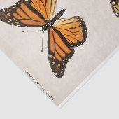 Sherman F. Denton | Monarch Butterfly Seidenpapier (Ausschnitt)