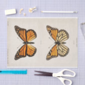 Sherman F. Denton | Monarch Butterfly Seidenpapier (Handwerk)