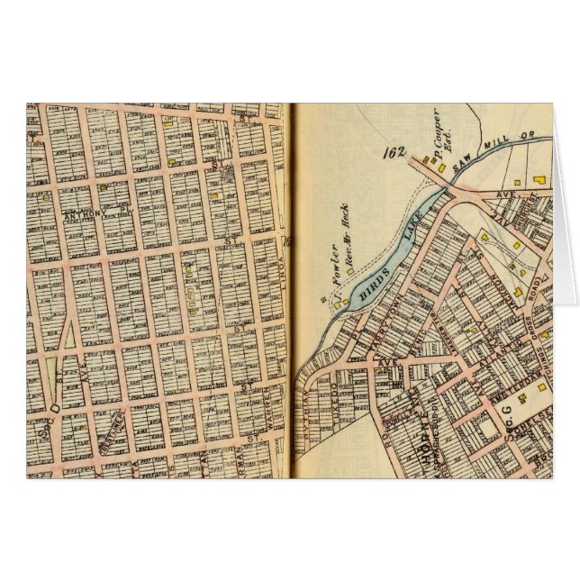 Sherman Park, New York 2 (Vorderseite (Horizontal))