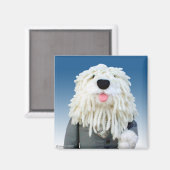 Sherman Sheepdog Magnet (Vorderseite/Rückseite)