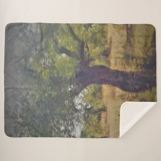 Sherpa Blanket ART AND DESIGN STYLE Sherpadecke (Vorderseite (Horizontal))