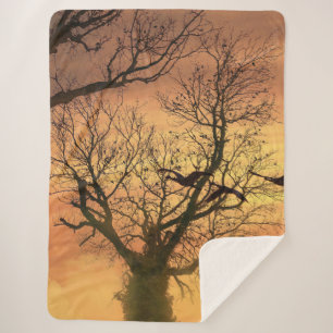 Sherpa Blanket gefleckter Herbstbaum bei Sonnenunt Sherpadecke