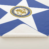 Sherpa Blanket mit Flagge von Houston Sherpadecke (3/4)