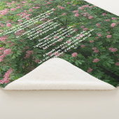 Sherpa Blanket Sherpadecke (3/4)