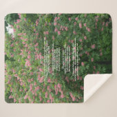 Sherpa Blanket Sherpadecke (Vorderseite (Horizontal))