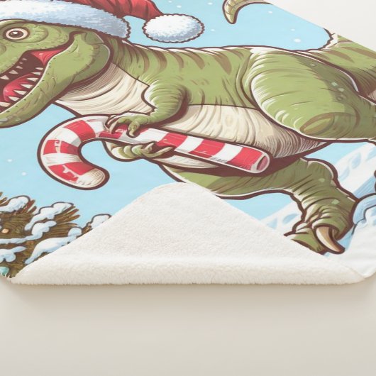 Sherpa Blanket Sherpadecke (3/4)