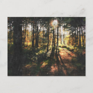 Sherwood Forest Sunset Postkarte