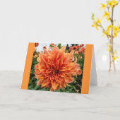 Sherwoods Peach Dahlia Karte (Gelbe Blume)