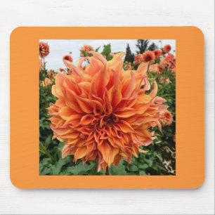 Sherwoods Peach Dahlia Mousepad