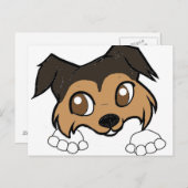 Shetland Peking Postkarte (Vorne/Hinten)